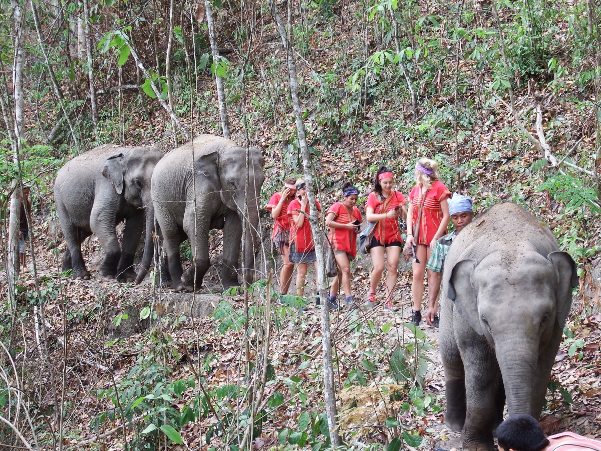 Elephants, Caves, Thai Food … Oh My!